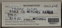 Image Associated With the Occurence